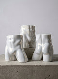 Male Ceramic Underwear and Briefs Display Torso (Hips / Pelvis Model)