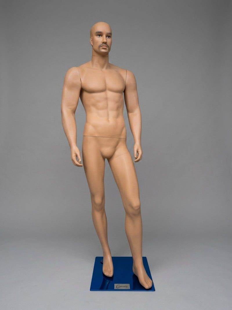 Athletic Mannequins