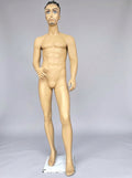Male Realistic Standing Mannequin with Molded Hair and Beard