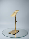 Gold adjustable shoe display stand – shoe display stand Tanzania